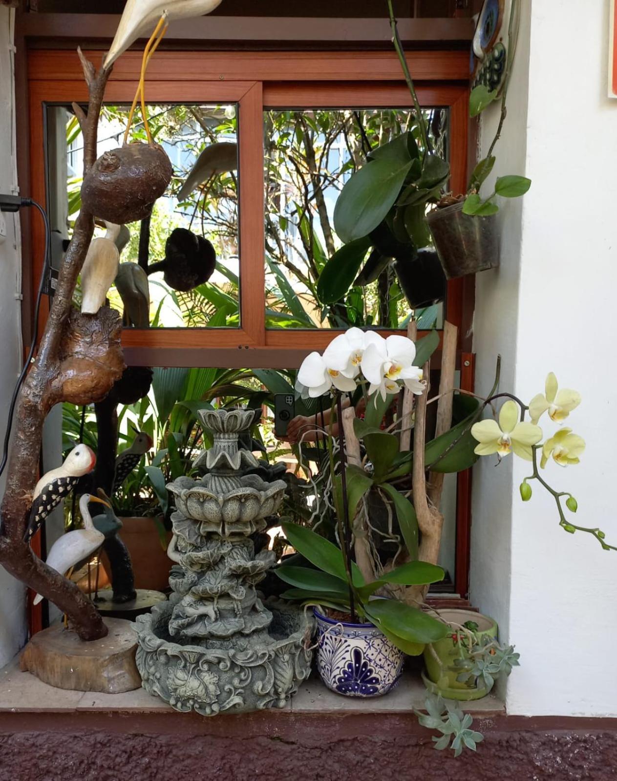 Huatusco Posada Galeria Alberto Sedas מראה חיצוני תמונה