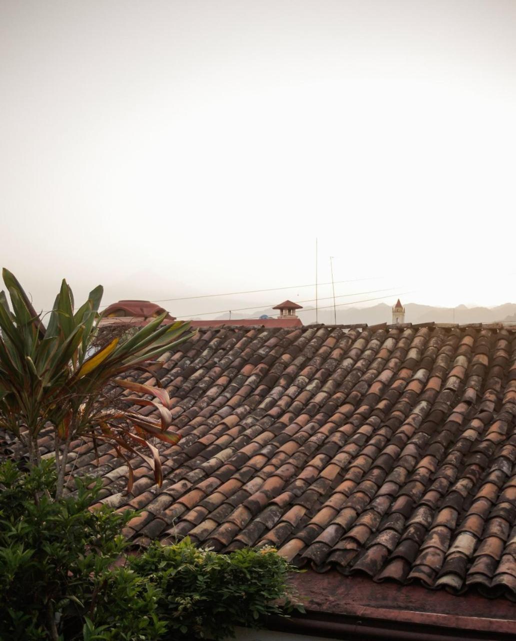 Huatusco Posada Galeria Alberto Sedas מראה חיצוני תמונה