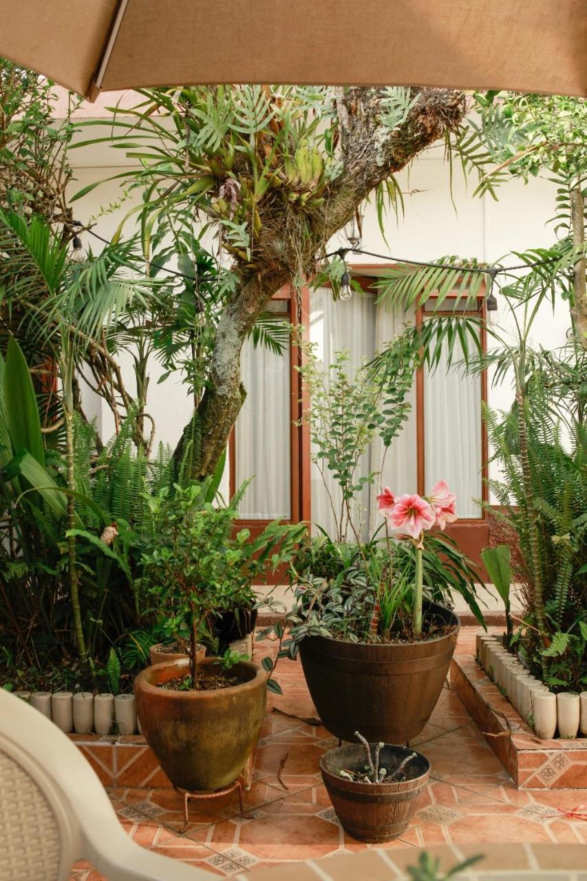 Huatusco Posada Galeria Alberto Sedas מראה חיצוני תמונה